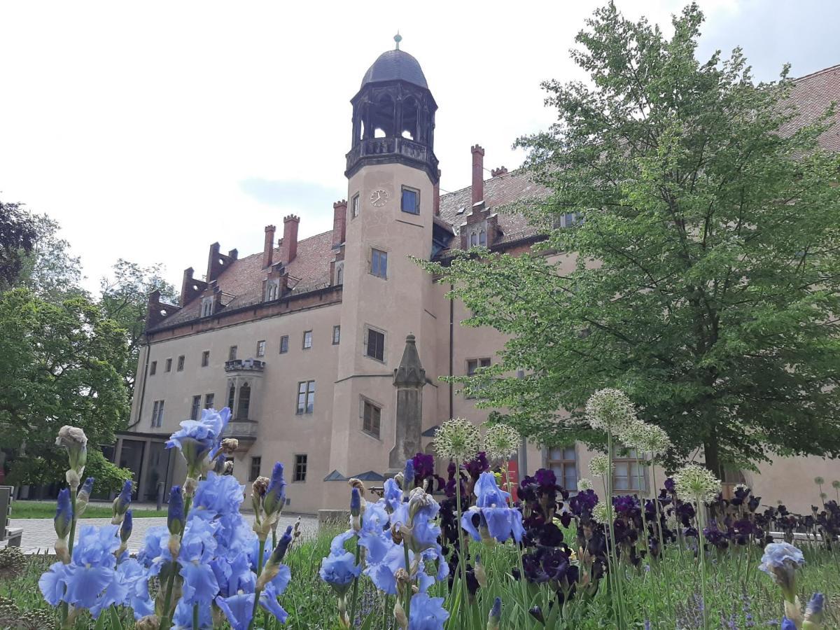 Fewo Rosenbluete Am Stadtpark Wittenberg Exteriér fotografie